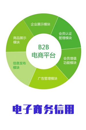 电子商务信用 B2B第三方交易平台信用规范